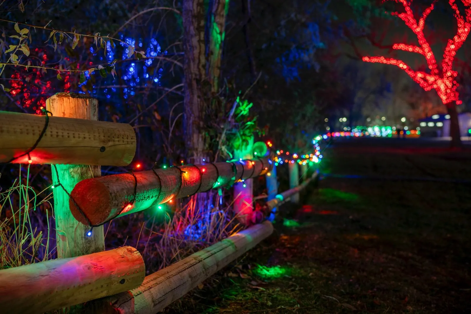 Christmas Lights for Theme Parks in the Phoenix and Scottsdale area