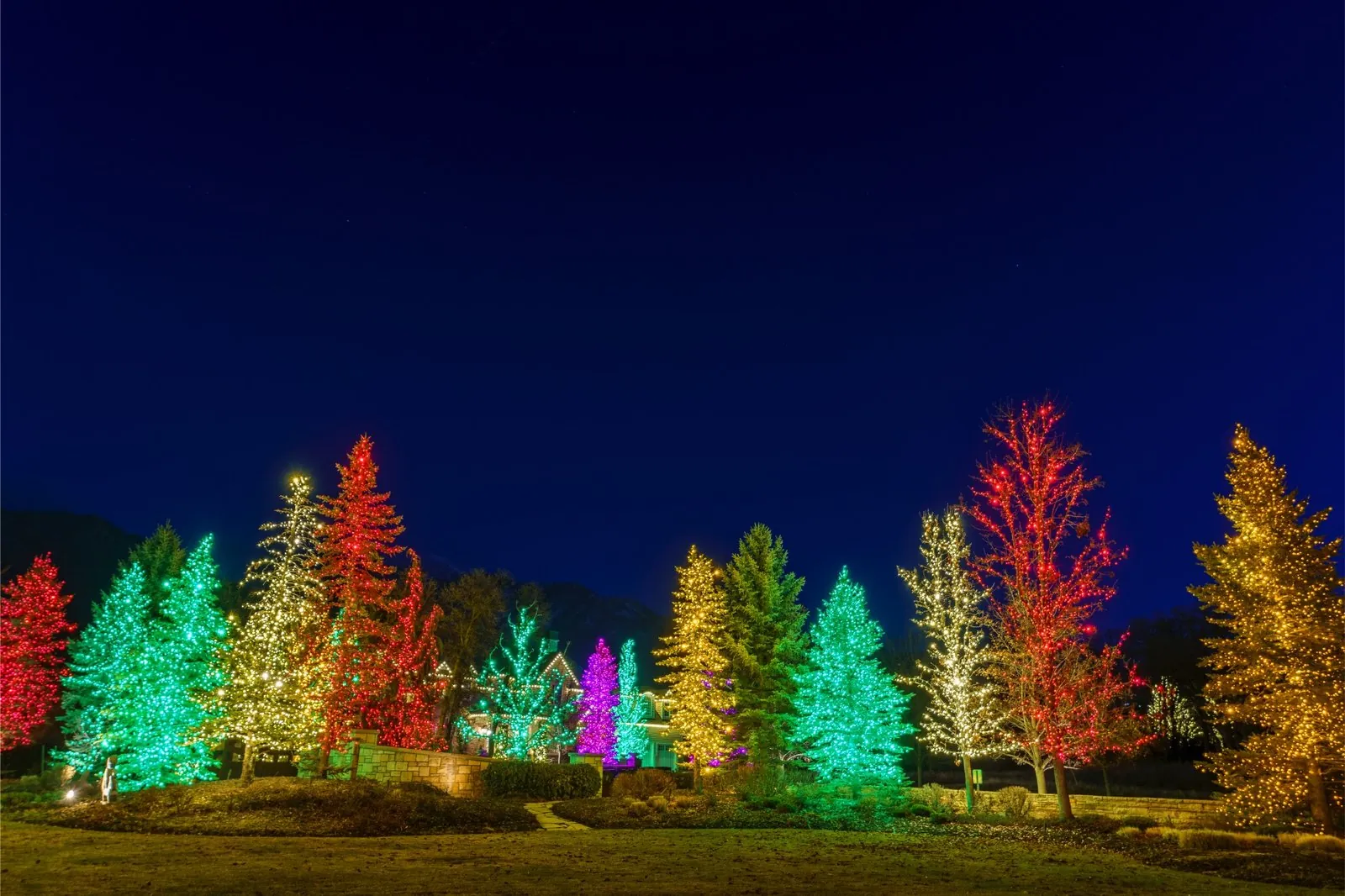 Christmas Tree Lighting in the Phoenix and Scottsdale area